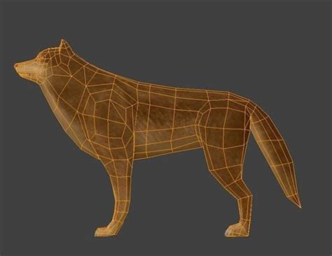 3D Rigged Wolf Model - TurboSquid 1271143