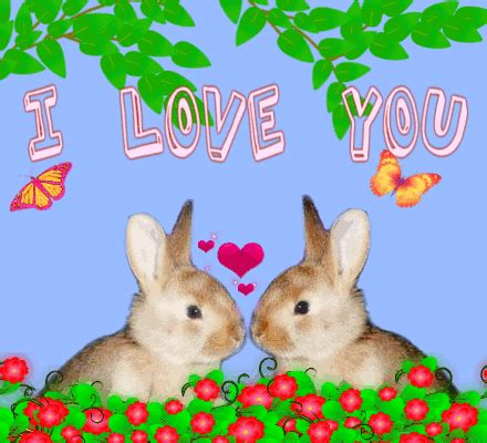 Cute I Love You Cartoon Animals - Animals World