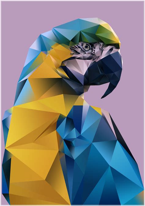 Polygon Art – Tropical Birds on Behance