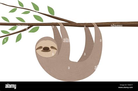 Illustration of cute sloth hanging on a tree branch Stock Vector Image & Art - Alamy