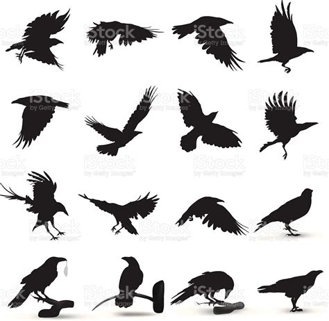 Raven Silhouette | Silhouette tattoos, Crow tattoo design, Crow silhouette