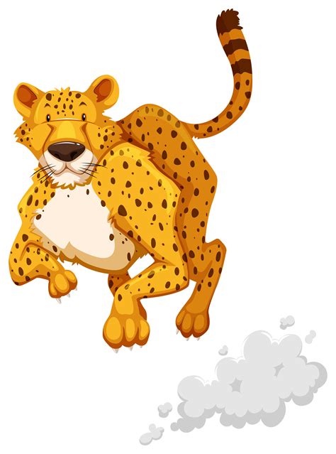 Cheetah 367074 Vector Art at Vecteezy