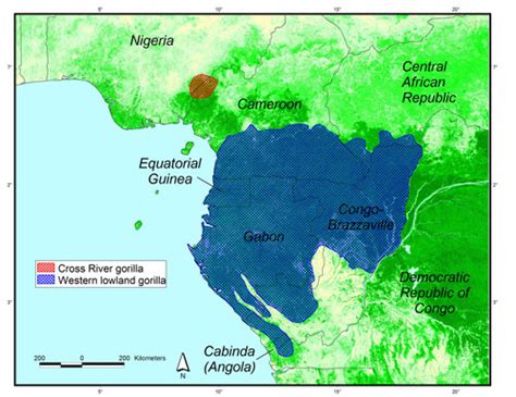 Mountain Gorilla Habitat Map