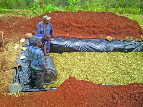 Tips for making quality silage | The Organic Farmer