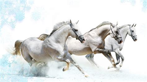 Horse Art wallpaper | 1920x1080 | #9366