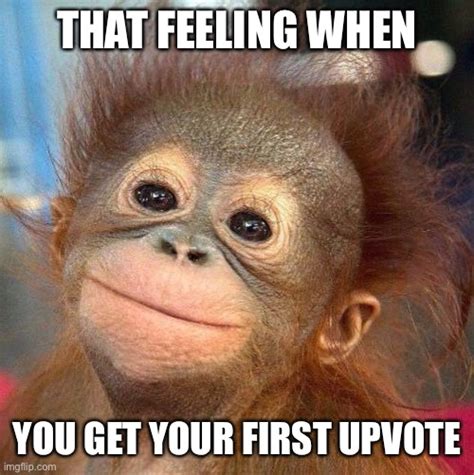 Monkey Smiling Meme