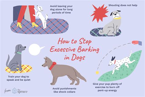 How to Stop Your Dog From Barking Excessively