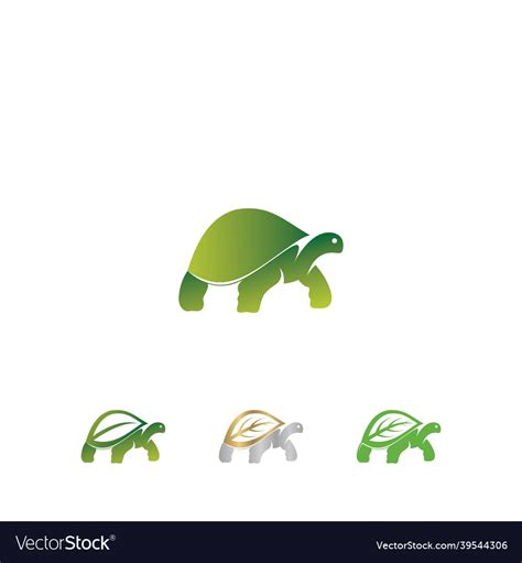 Tortoise logo design template inspiration Vector Image