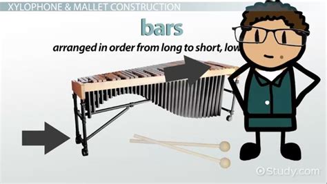 Xylophone Overview, History & Types - Lesson | Study.com