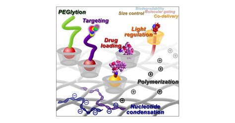 Cyclodextrin-Based Host–Guest Supramolecular Nanoparticles for Delivery: From Design to ...