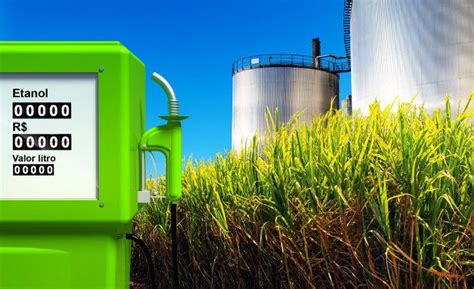 What is bioethanol? »Its definition and meaning - Science 2024