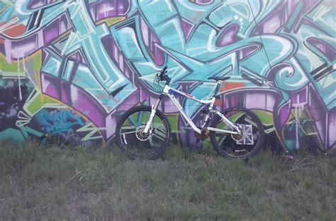 Graffiti Art on the Bike Path / myLot