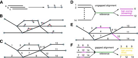 Overview of the GRASP2 algorithm. a The reads are overlapped to... | Download Scientific Diagram