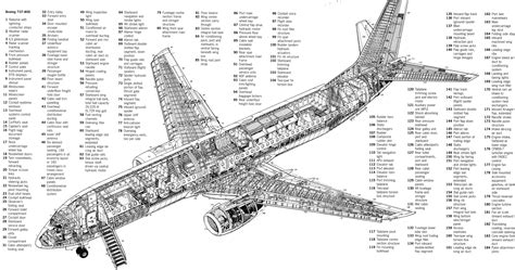 boeing737cutaway | Aircraft of World War II - WW2Aircraft.net Forums