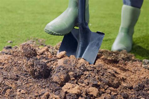 Understanding Clay Soil and How to Improve It