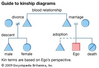 Anthropology of Kinship - AnthroMania