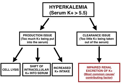 Hyperkalemia causes, signs, symptoms, ECG changes and treatment