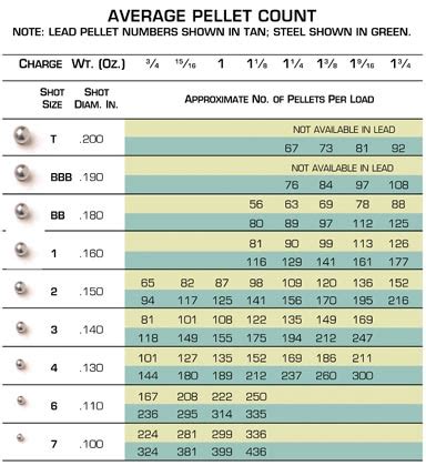 Steel vs. Lead: Differences You Should Know