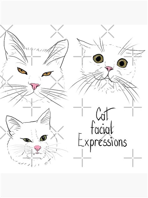 "Cat facial expressions" Poster by CNDahl | Redbubble