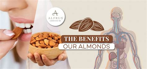 almonds benefits, a thousand properties in a small seed