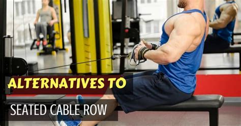 5 Best Seated Cable Row Alternative Exercises (You Must Try)