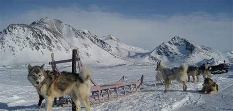 Arctic Highlights & Polar Bears - Svalbard, Greenland, Iceland, Tours ...