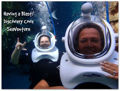 Discovery Cove Sea Venture Experience - Food Fun & Faraway Places