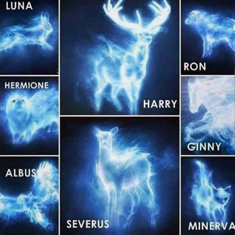 List of Patronus and Their Meanings – harrypotterhousequiz.com | Harry potter voldemort, Harry ...