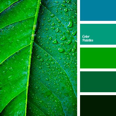 green pine | Color Palette Ideas