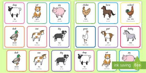 Sounds of Animals in Māori - Twinkl ECE Language Resources