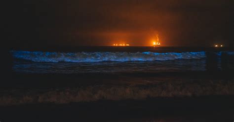 Stunning Bioluminescent Beaches You Have to See!