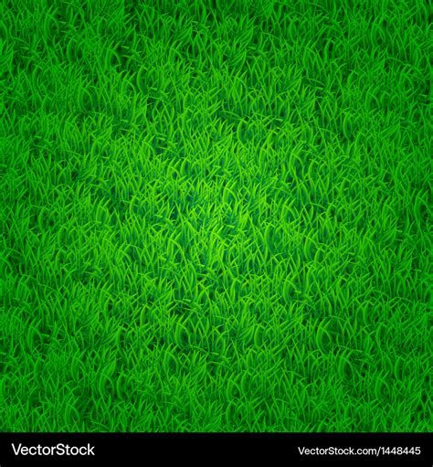 Green grass background Royalty Free Vector Image