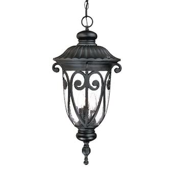 Acclaim Lighting Camelot Matte Black Traditional Lantern Outdoor Hanging Pendant Light in the ...