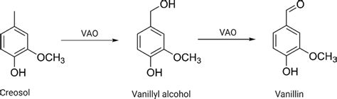 Synthesis of vanillin from creosol using vanillyl-alcohol oxidase ...