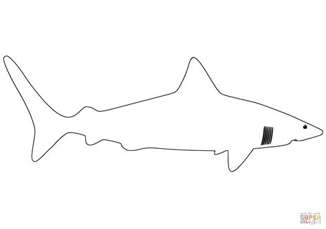 Great White Shark Outline coloring page | Free Printable Coloring Pages