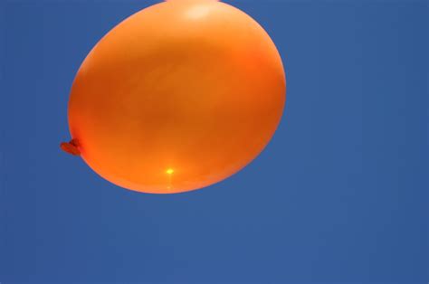 Orange Balloon Free Photo Download | FreeImages