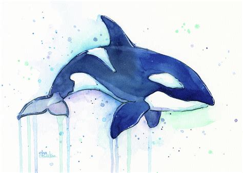 Orca Whale Watercolor Killer Whale Facing Right Painting by Olga ...