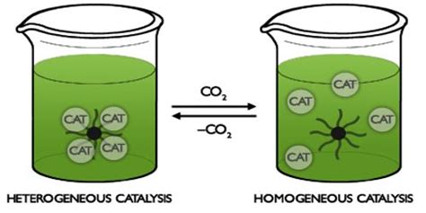 Homogeneous Catalysis - QS Study