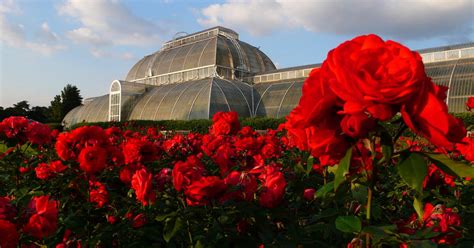 Royal Botanic Gardens Di Kew - toransodok