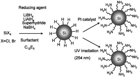 Reaction scheme for synthesis of silicon quantum dots by microemulsion... | Download Scientific ...