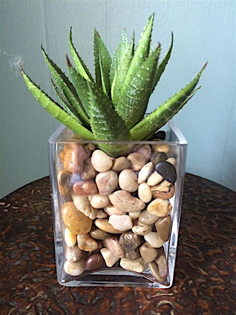 Pots For Your Indoor Succulents – HomeDecorish