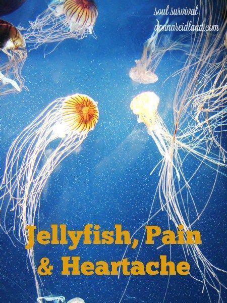 Jellyfish Quotes From Finding Nemo - ShortQuotes.cc