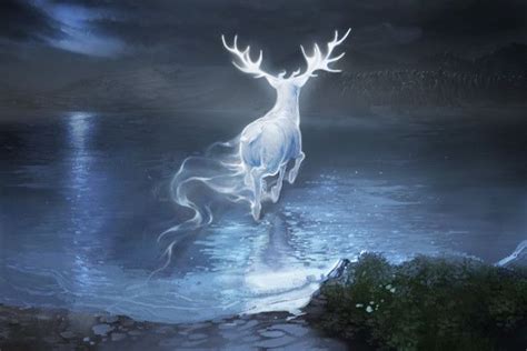 What Form Would Your Patronus Take? - What's your 'Harry Potter' spirit animal? - Quiz What Is A ...