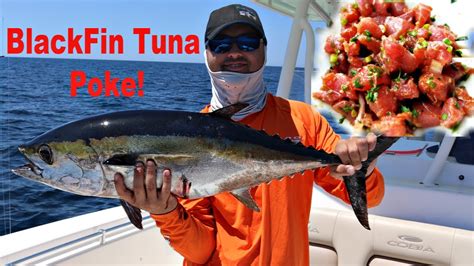 Recipes For Cooking Blackfin Tuna | Besto Blog