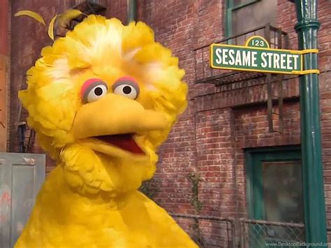 The Puppeteer To Sesame Street's 'Big Bird', Reveals His Most ... Desktop Background