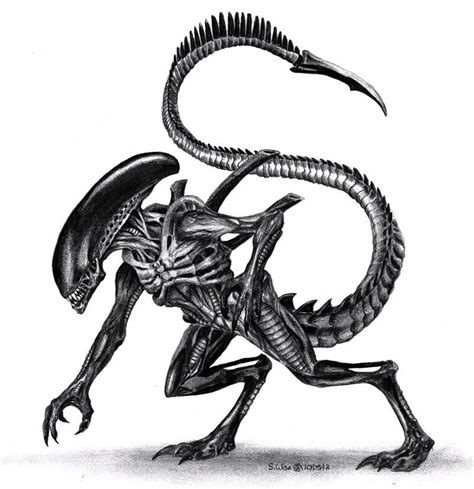 Xenomorph by Glaiceana on DeviantArt | Predator alien art, Xenomorph, Alien drawings