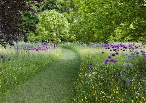 wild meadow walled garden - Google Search | Garden ideas uk, Highgrove garden, Wildflower garden