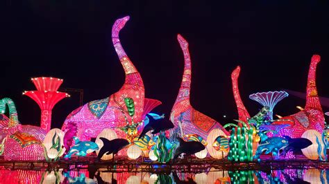 Dubai Garden Glow Returns For Season 10 - Winter 2024-25