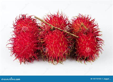 Rambutan Fruit Royalty Free Stock Photo - Image: 10173155