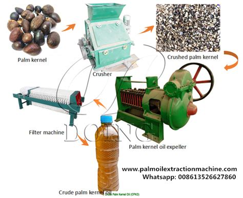 What machines were used in palm kernel oil extraction process?_FAQ